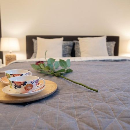 קלוז'-נאפוקה Central Bright Apartment מראה חיצוני תמונה