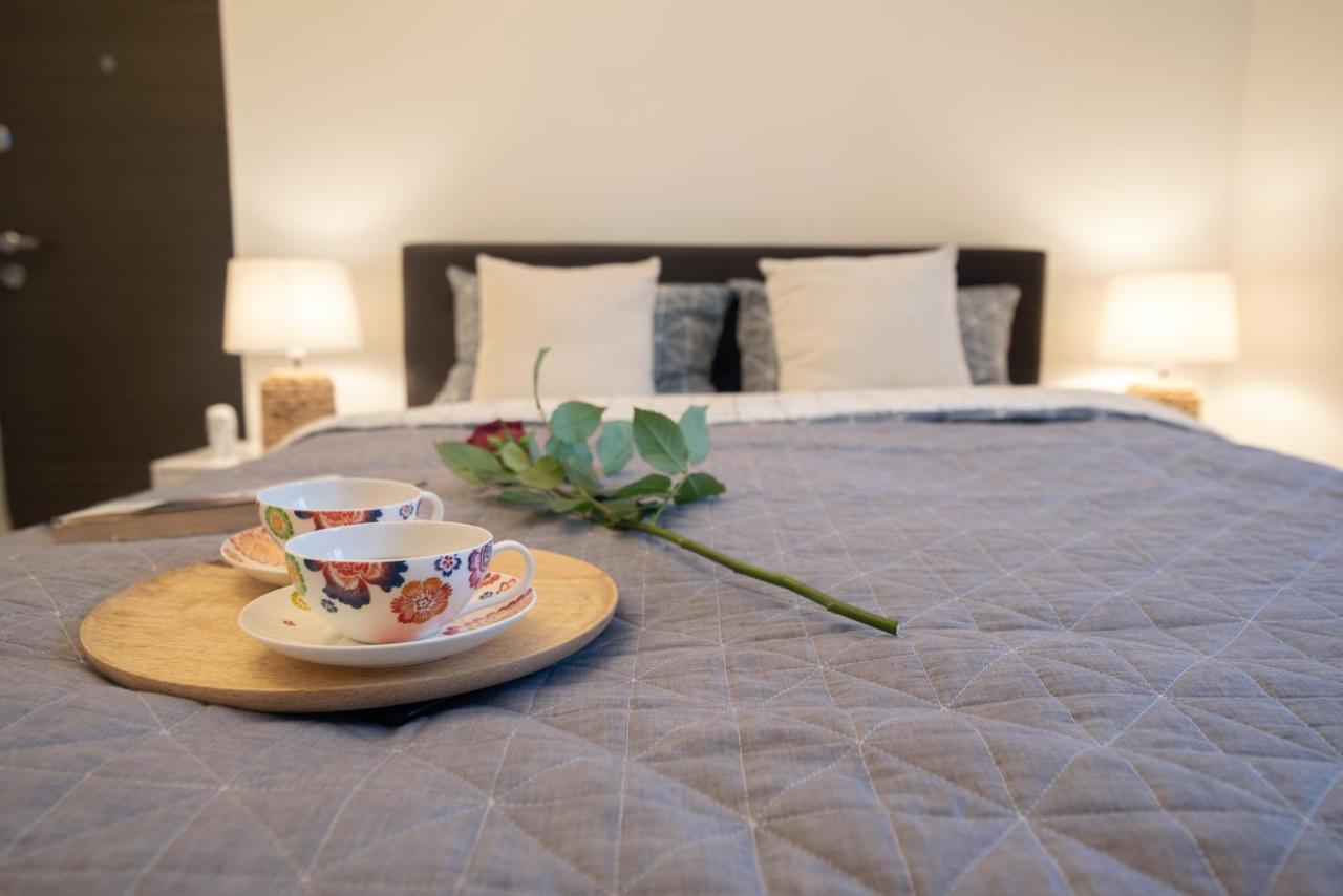 קלוז'-נאפוקה Central Bright Apartment מראה חיצוני תמונה